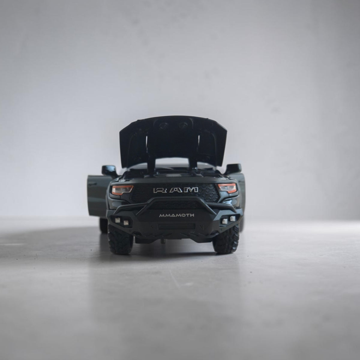 RAM TRX Mammoth 1000 | Black